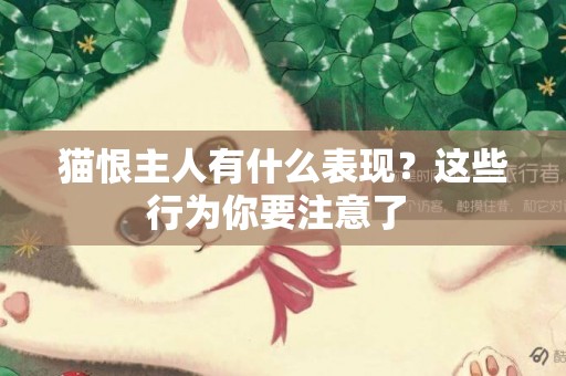 貓恨主人有什么表現？這些行為你要注意了 