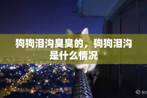 狗狗淚溝臭臭的，狗狗淚溝是什么情況
