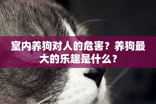 室內養狗對人的危害？養狗最大的樂趣是什么？