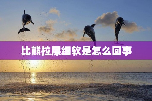 比熊拉屎細軟是怎么回事