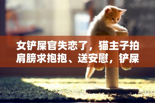 女鏟屎官失戀了，貓主子拍肩膀求抱抱、送安慰，鏟屎官：沒白疼你