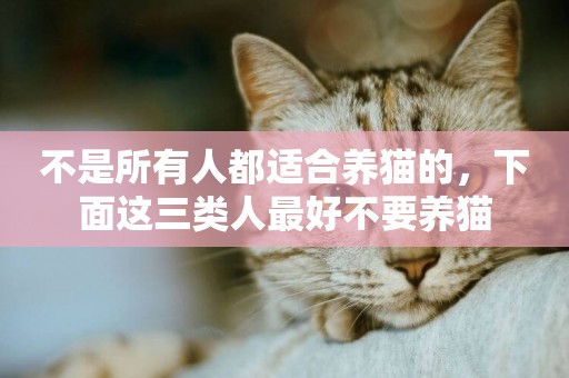 不是所有人都適合養貓的，下面這三類人最好不要養貓