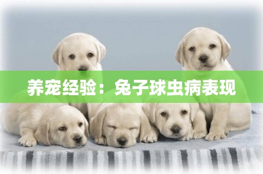 養寵經驗：兔子球蟲病表現