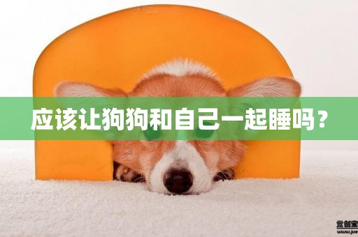 應該讓狗狗和自己一起睡嗎？