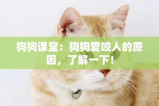 狗狗課堂：狗狗愛咬人的原因，了解一下！