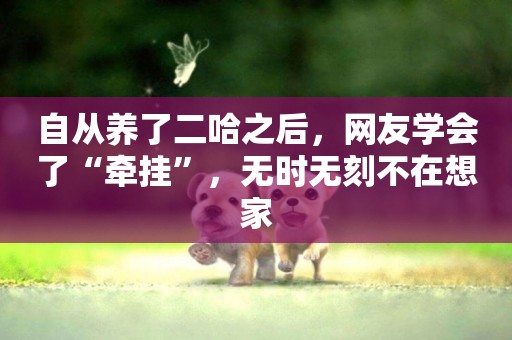 自從養了二哈之后，網友學會了“牽掛”，無時無刻不在想家