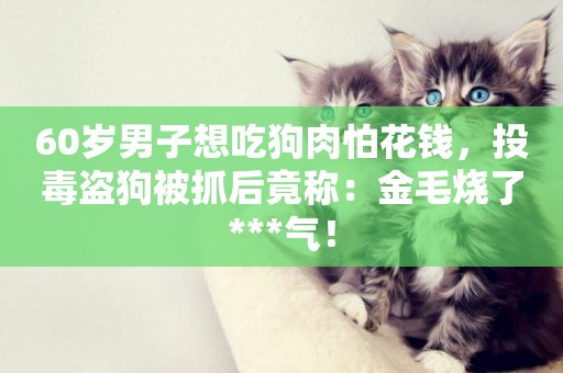 60歲男子想吃狗肉怕花錢，投毒盜狗被抓后竟稱：金毛燒了***氣！