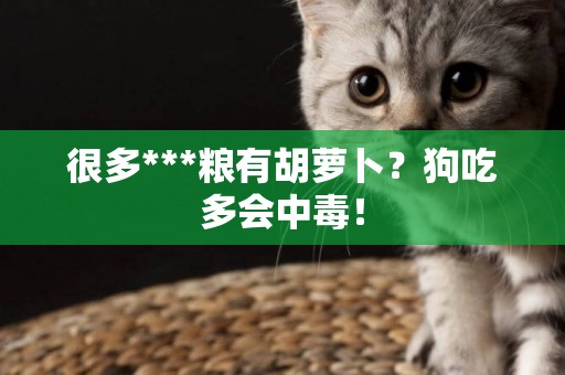 很多***糧有胡蘿卜？狗吃多會中毒！