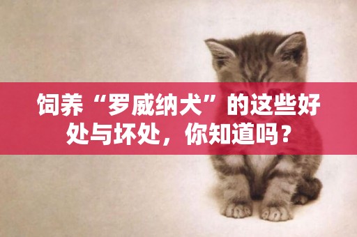 飼養“羅威納犬”的這些好處與壞處，你知道嗎？
