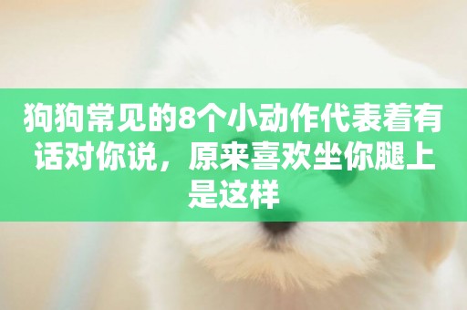 狗狗常見的8個小動作代表著有話對你說，原來喜歡坐你腿上是這樣
