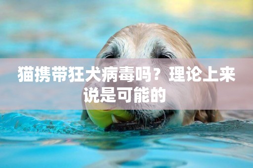 貓攜帶狂犬病毒嗎？理論上來說是可能的 