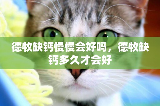 德牧缺鈣慢慢會好嗎，德牧缺鈣多久才會好