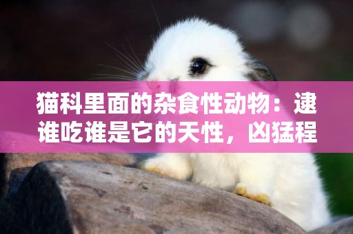 貓科里面的雜食性動物：逮誰吃誰是它的天性，兇猛程度堪比猞猁