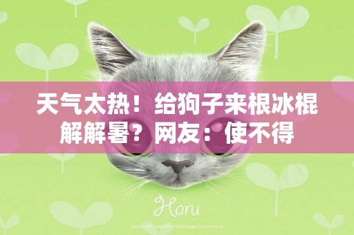 天氣太熱！給狗子來根冰棍解解暑？網友：使不得