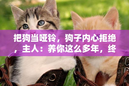 把狗當啞鈴，狗子內心拒絕，主人：養你這么多年，終于有點用了