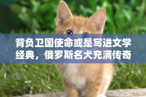 背負衛國使命或是寫進文學經典，俄羅斯名犬充滿傳奇色彩