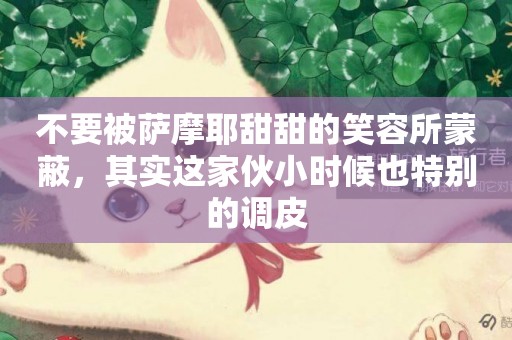 不要被薩摩耶甜甜的笑容所蒙蔽，其實這家伙小時候也特別的調皮