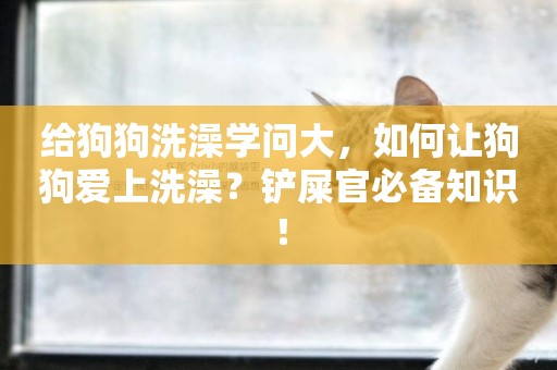給狗狗洗澡學問大，如何讓狗狗愛上洗澡？鏟屎官必備知識！