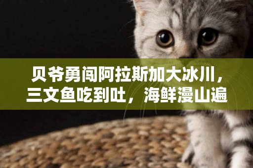 貝爺勇闖阿拉斯加大冰川，三文魚吃到吐，海鮮漫山遍野懶得撿！