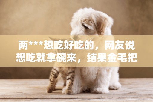 兩***想吃好吃的，網友說想吃就拿碗來，結果金毛把碗拿了過來