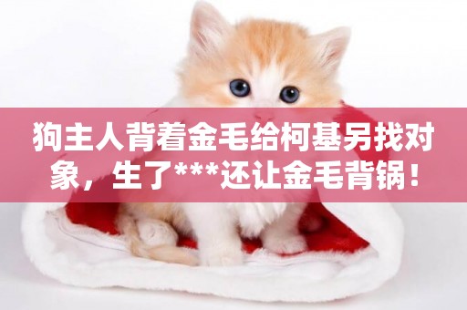 狗主人背著金毛給柯基另找對象，生了***還讓金毛背鍋！