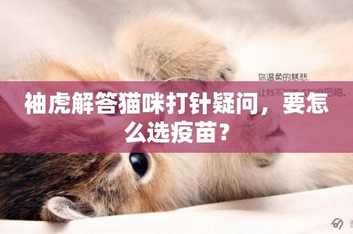 袖虎解答貓咪打針疑問，要怎么選疫苗？