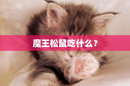 魔王松鼠吃什么？