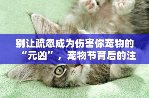 別讓疏忽成為傷害你寵物的“元兇”，寵物節育后的注意事項