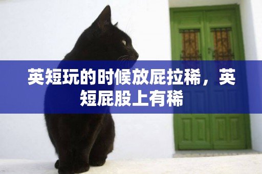 英短玩的時候放屁拉稀，英短屁股上有稀
