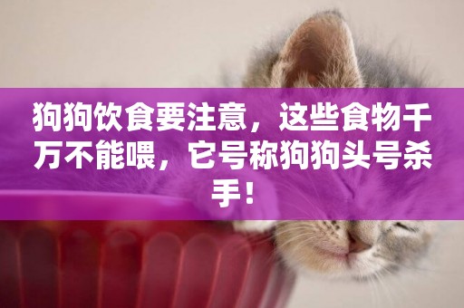 狗狗飲食要注意，這些食物千萬不能喂，它號稱狗狗頭號殺手！