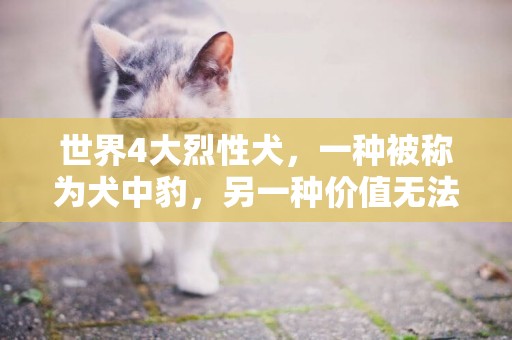 世界4大烈性犬，一種被稱為犬中豹，另一種價值無法用金錢衡量