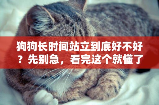 狗狗長時間站立到底好不好？先別急，看完這個就懂了