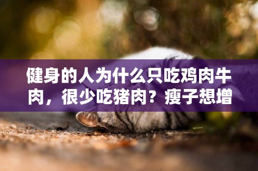 健身的人為什么只吃雞肉牛肉，很少吃豬肉？瘦子想增肌該怎么選？