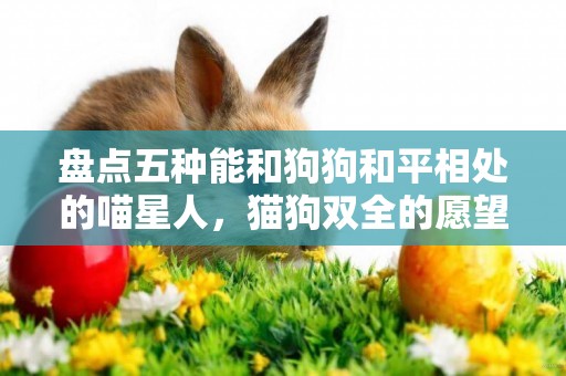 盤點五種能和狗狗和平相處的喵星人，貓狗雙全的愿望可以實現了！