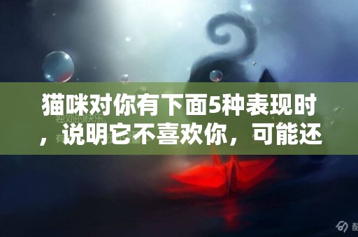 貓咪對你有下面5種表現時，說明它不喜歡你，可能還恨你