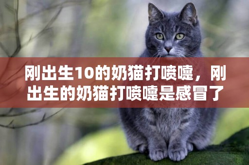 剛出生10的奶貓打噴嚏，剛出生的奶貓打噴嚏是感冒了嗎