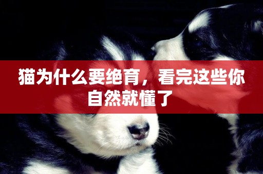 貓為什么要絕育，看完這些你自然就懂了 