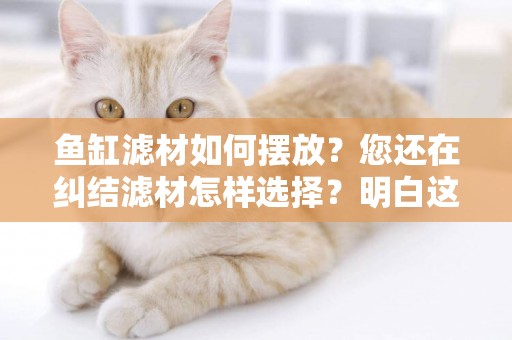 魚缸濾材如何擺放？您還在糾結濾材怎樣選擇？明白這些輕松搞定！