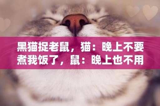 黑貓捉老鼠，貓：晚上不要煮我飯了，鼠：晚上也不用煮我飯了……