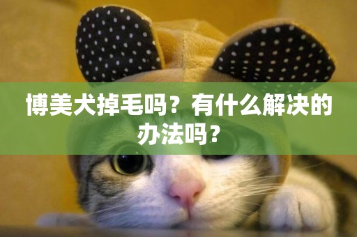 博美犬掉毛嗎？有什么解決的辦法嗎？