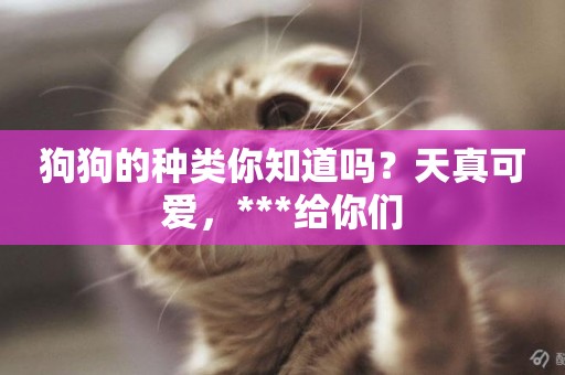 狗狗的種類你知道嗎？天真可愛，***給你們