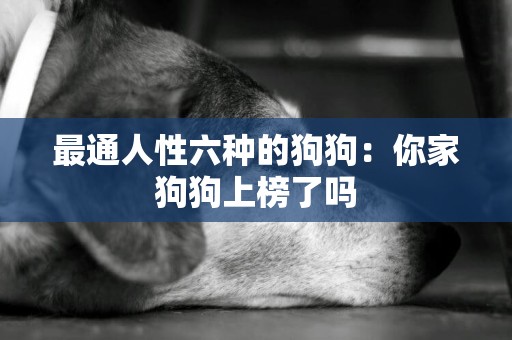 最通人性六種的狗狗：你家狗狗上榜了嗎