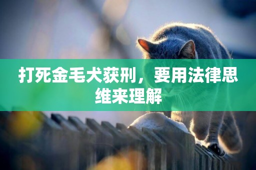 打死金毛犬獲刑，要用法律思維來理解