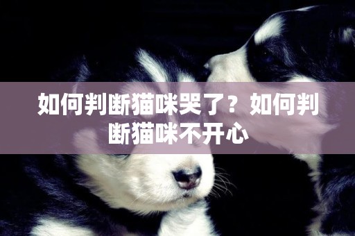 如何判斷貓咪哭了？如何判斷貓咪不開心