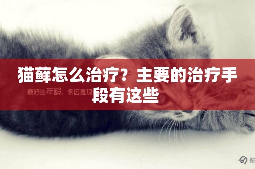貓蘚怎么治療？主要的治療手段有這些 