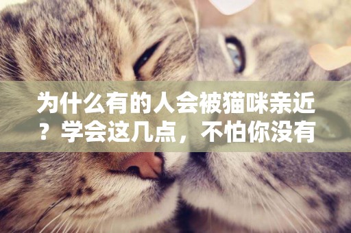 為什么有的人會被貓咪親近？學會這幾點，不怕你沒有貓緣
