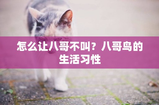 怎么讓八哥不叫？八哥鳥的生活習性