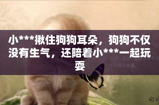 小***揪住狗狗耳朵，狗狗不僅沒有生氣，還陪著小***一起玩耍