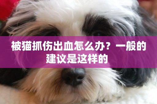 被貓抓傷出血怎么辦？一般的建議是這樣的 