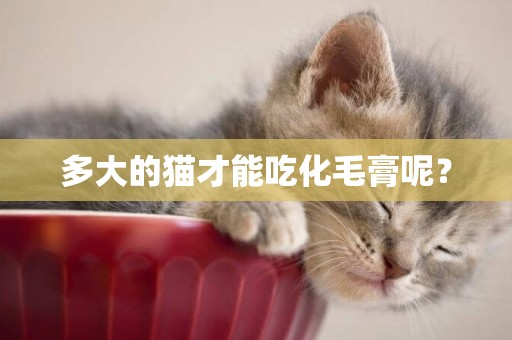 多大的貓才能吃化毛膏呢？